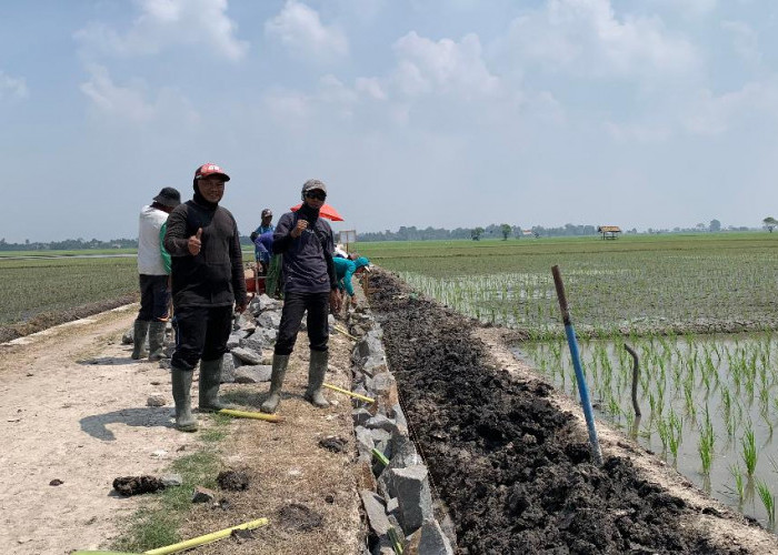 Pembangunan Jalan Usaha Tani Bandan Hurip Berlanjut