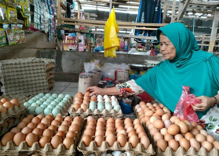 Masih Tinggi, Harga Telur Ayam di Tanggamus Capai Rp32.000 Per Kg