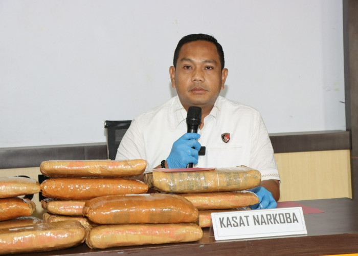 Polres Pringsewu Gagalkan Penyelundupan 24 Kg Ganja dari Sumut, Seorang Kurir Ditangkap