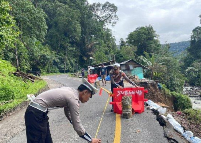 Jalan Amblas Liwa-Krui Semakin Melebar, Kendaraan Lebih Dari 2 Ton Dilarang Melintas