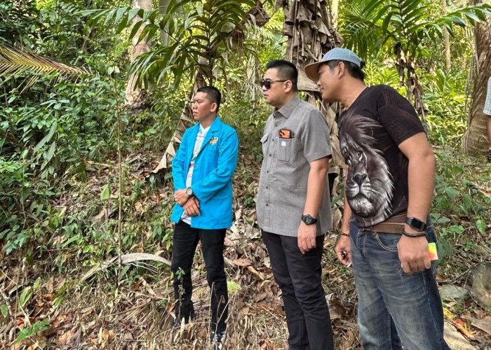 Rangga Putra Hakim Tinjau Jembatan Putus di Pulau Tabuan