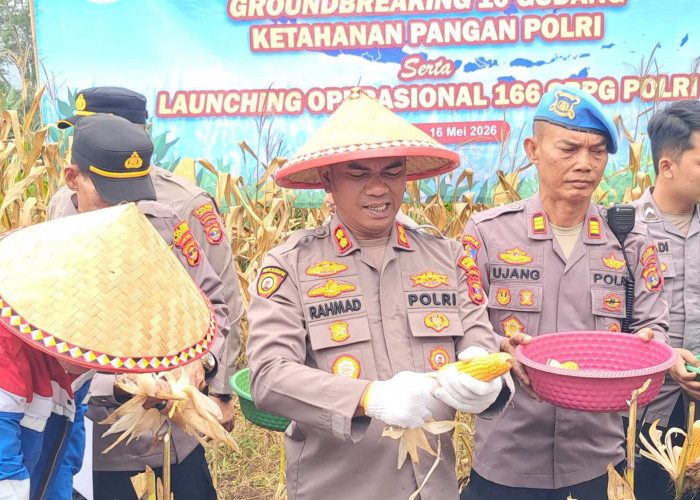Polres Tanggamus Panen Raya Jagung di Ulu Belu