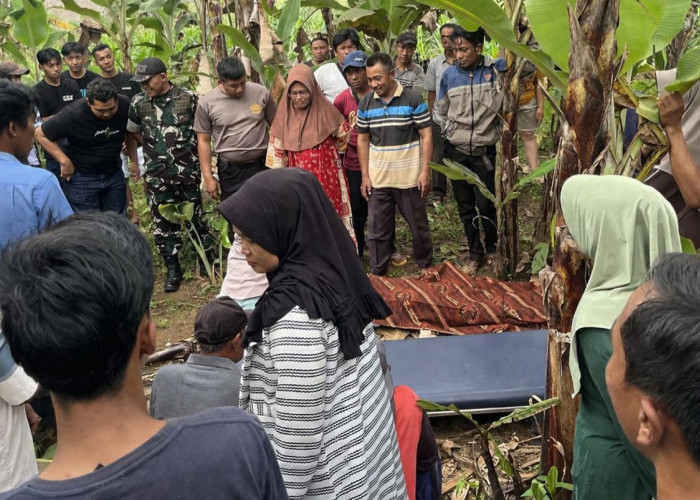 Pria Lansia Ditemukan Tewas di Kebun, Polisi Pastikan Tak Ada Tanda Kekerasan