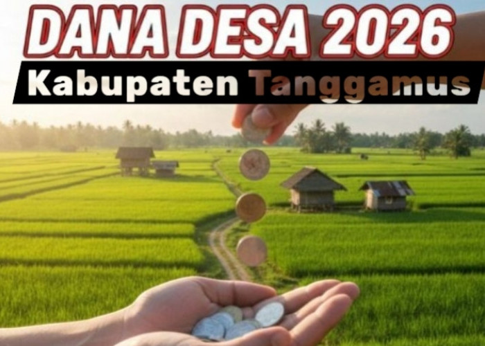 Terjun Bebas, Dana Desa di Tanggamus Tahun 2026 Hanya Rp 90 Miliar Lebih!
