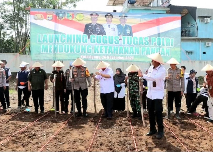 Polres Tanggamus dan Forkopimda Tanam Jagung Unggul di Area Satpas SIM