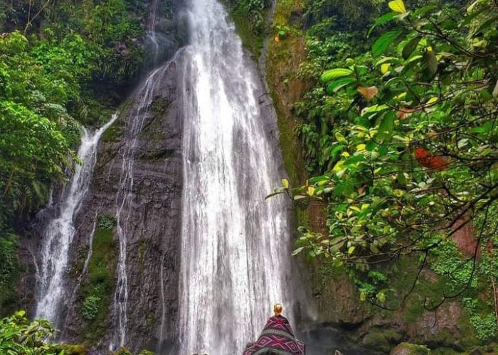 14 Tempat Wisata Air Terjun di Tanggamus, Dengan Pemandangan Alam Yang Eksotis