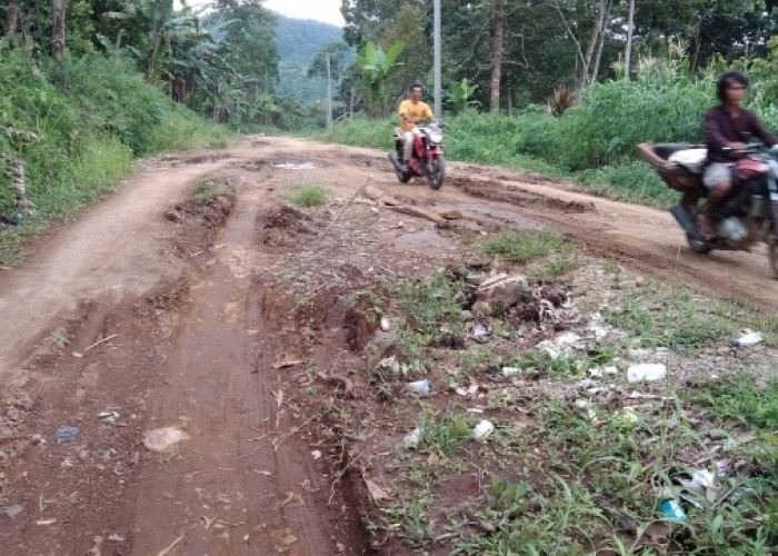 Lega! Tahun Ini  Jalan di Kotaagung Timur Akan Diperbaiki, Segini Anggarannya 