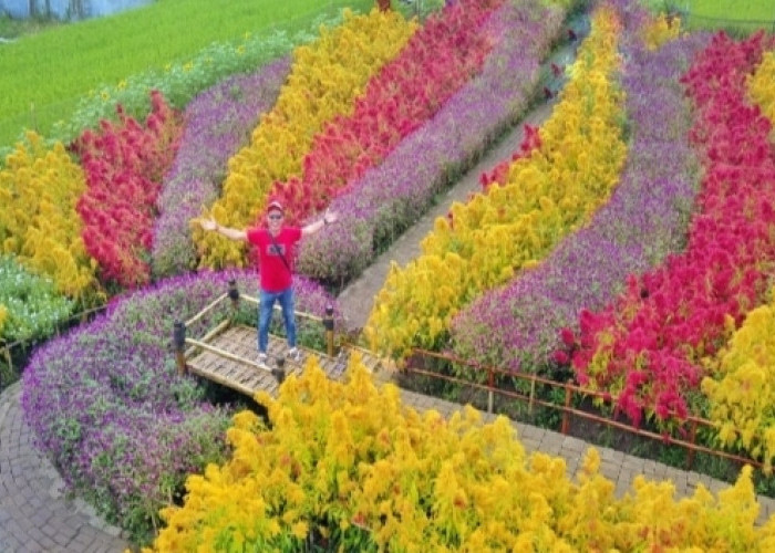 Taman Bunga Kadung Hejo, Hidden Gem Bagi Pecinta Bunga dan Tanaman Hias