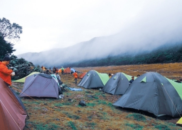 5 Tempat Camping Hits Bogor Jawa Barat, Bikin Nagih!