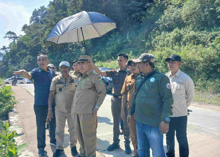 Bupati Tanggamus Dorong Investasi Pesisir, Tinjau Rencana Pembangunan Jetty di Kelumbayan
