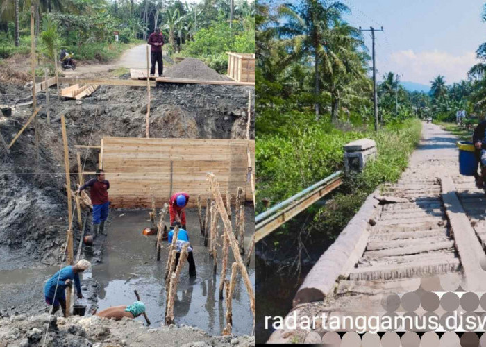 Ini Konsep Jembatan Way Nipah Tanggamus Lampung