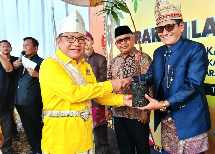 Golkar Lampung Canangkan Gerakan Lampung Menanam di Tanggamus, Ribuan Bibit Buah Dibagikan ke Kader