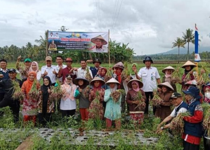 Bupati Tanggamus: Penyuluh Pertanian Punya Peran Besar Dalam Pembangunan Pertanian