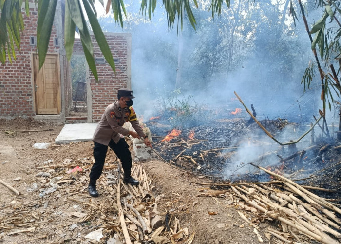 TNI/Polri dan Warga Berjibaku Padamkan Api di Lahan  Perkebunan Jati Ambarawa