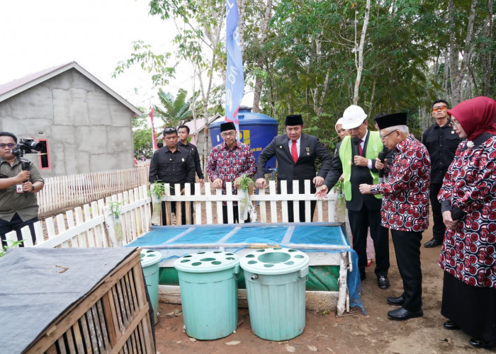 Hadiri Puncak Peringatan HKN, Wapres Ma'ruf Amin: Keluarga Kunci Atasi Stunting