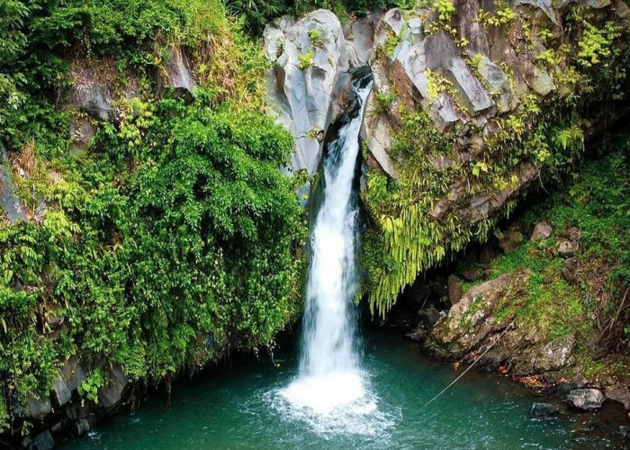 3 Rekomendasi Wisata Air Terjun yang Lokasinya Tak Jauh dari Ibukota Kabupaten Tanggamus