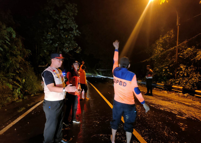 Longsor  Batu Keramat, BPBD Tanggamus Sigap Bersihkan Material Demi Kelancaran Lalin