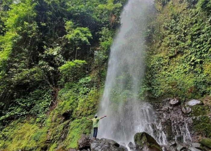 Kunjungi! 10 Tempat Wisata Air Terjun di Kabupaten Tanggamus, Dijamin Bikin Fresh