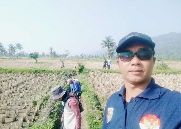 Berharap Hasil Panen Meningkat, Petani di Pekon Sedayu Gotong-royong Benahi Siring Irigasi