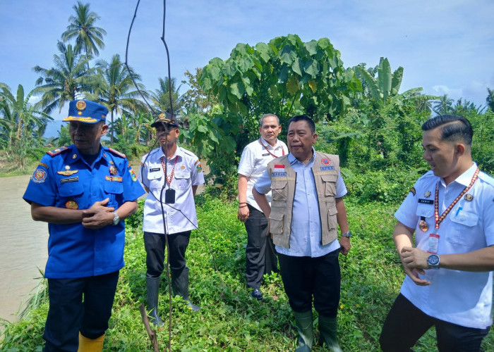Penanganan Permanen Way Belu Pemkab Segera Koordinasi Dengan Pemprov Lampung