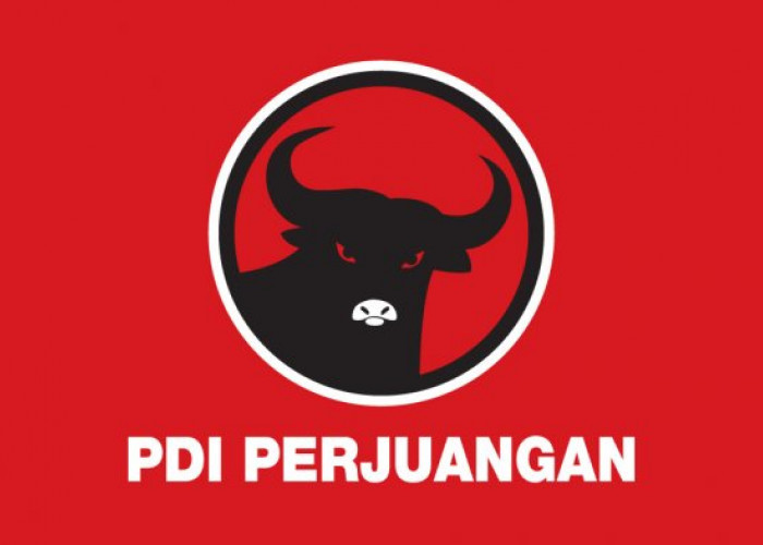 PDI-P Layangkan Surat Pemecatan Riski Raya Saputra