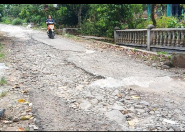 Ruas Jalan Lintas Kabupaten Rusak, Warga Harapkan Perbaikan