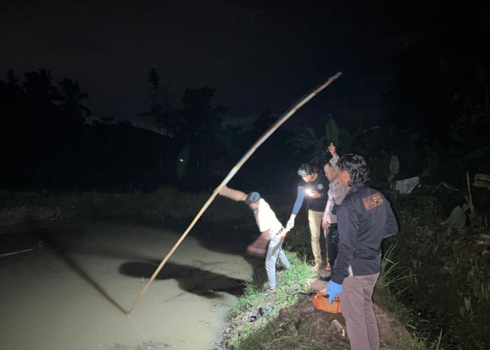 Seorang petani di Pringsewu Ditemukan Tewas Tenggelam di Kolam Ikan Miliknya Sendiri