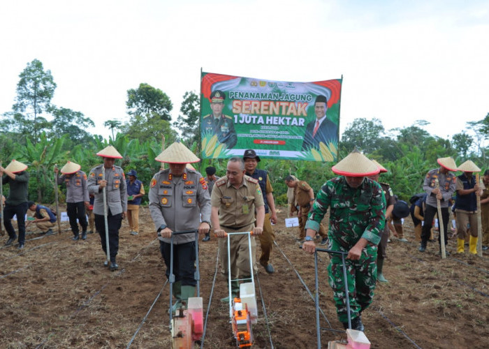 Dukung Swasembada Pangan Kapolres Tanggamus Tanam Jagung, Ini Lokasinya