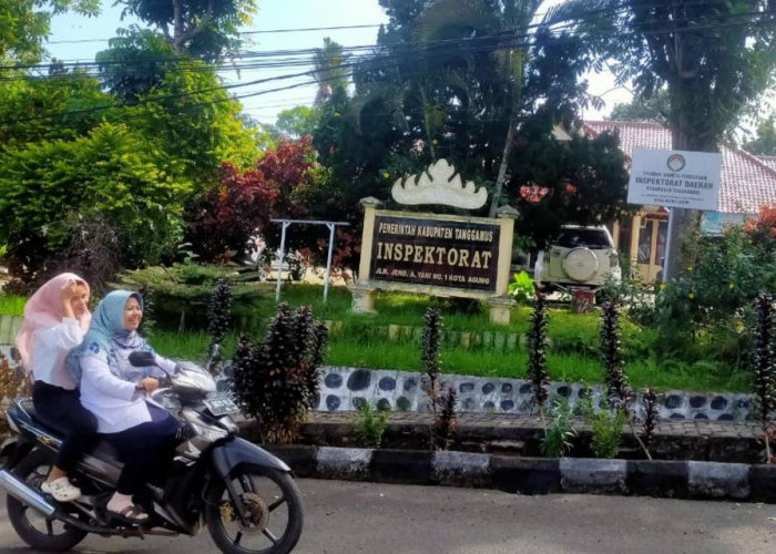 Fantastis! Perjalanan Dinas Inspektorat Tanggamus Capai Rp341 Juta, BPK Soroti Kelebihan Bayar