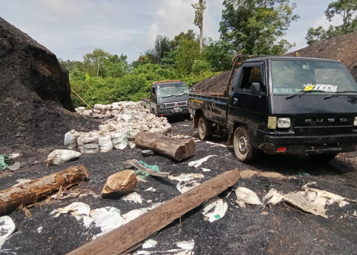 Warga Pekon Penyandingan Resah Tambang Batu Bara Ilegal, Minta Kapolres Tanggamus Bertindak
