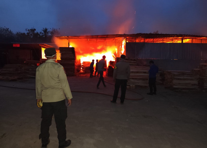 Pabrik Pengolahan Kayu di Pringsewu Terbakar, Kerugian Ditaksir Rp1,2 Miliar