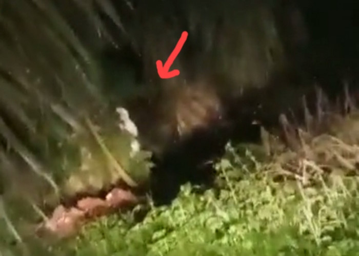 Bikin Geger, Video Penampakan Pocong di Umbul Kalong Ternyata Hoax