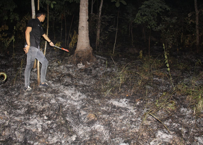 5 Hektar Lahan Terbakar di Sumberejo, Pagelaran