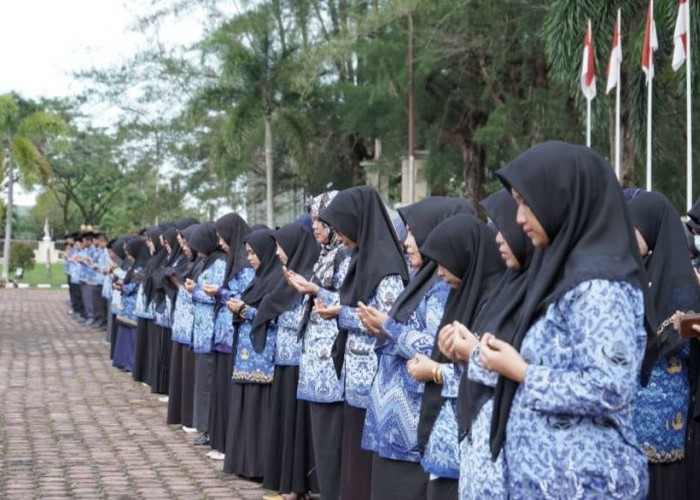 PNS di Kabupaten Tanggamus Didominasi Perempuan, Paling Banyak Lulusan S1