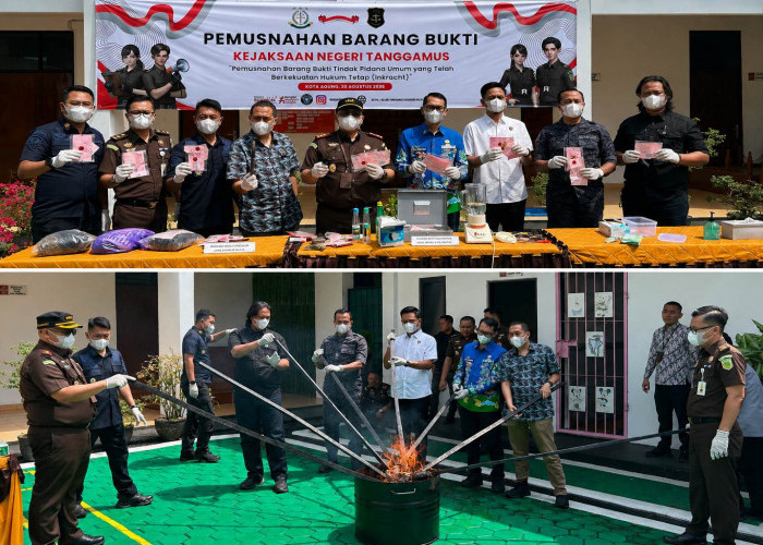Kejari Tanggamus Musnahkan Barang Bukti 48 Perkara Pidana, Kasus Narkotika Mendominasi