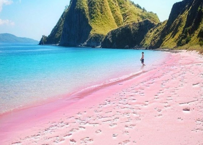 Bak Surga Tersembunyi Lombok Pink Beach Wisata Alam yang Cantik dengan View Indah yang Memanjakan Mata