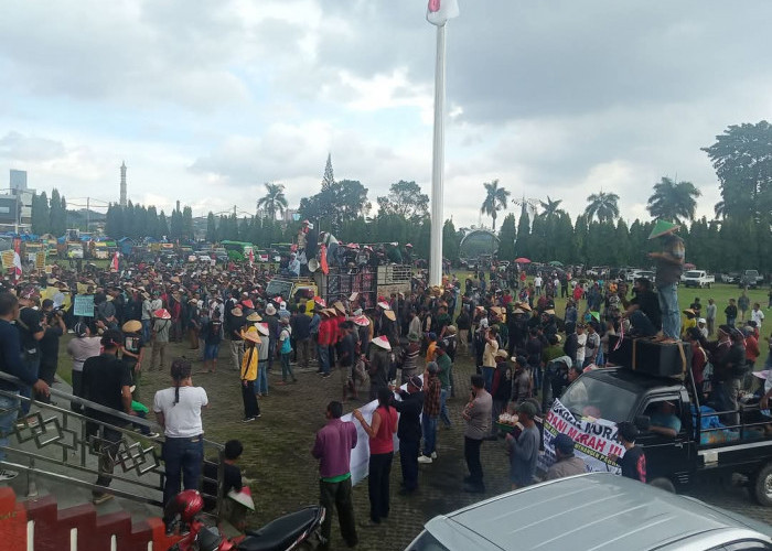 Ribuan Petani Singkong Geruduk Kantor Gubernur Lampung, Tuntut Pemberlakuan Harga Singkong