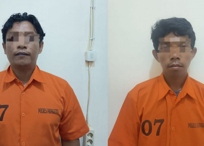 Gelapkan Truk Kredit, Dua Pelaku Dibekuk Polisi di Dua Provinsi