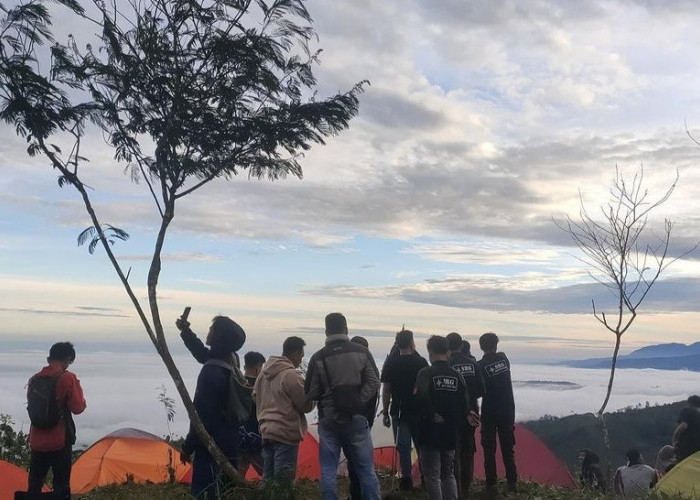 Calliandra Hills Selapan Pringsewu,Wisata Alam Serasa di Atas Awan Dengan View Pegunungan