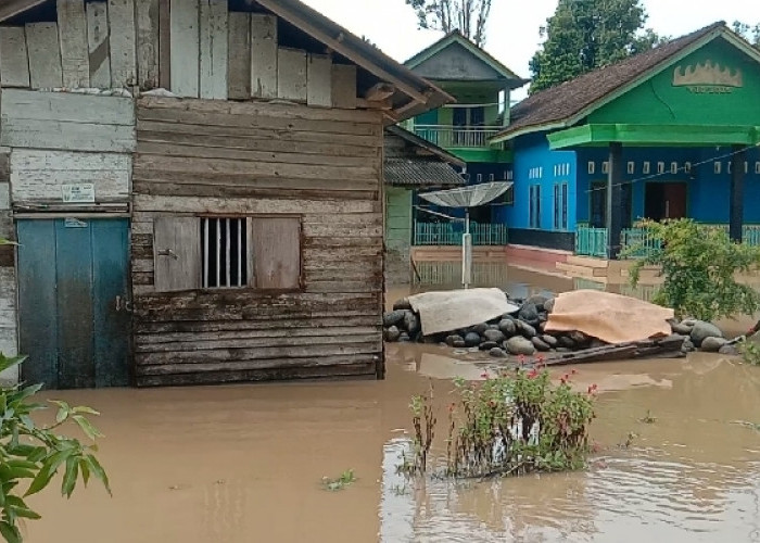 Sungai Way Semaka di Kabupaten Tanggamus Kembali Meluap, Pemukiman Warga Terendam Banjir