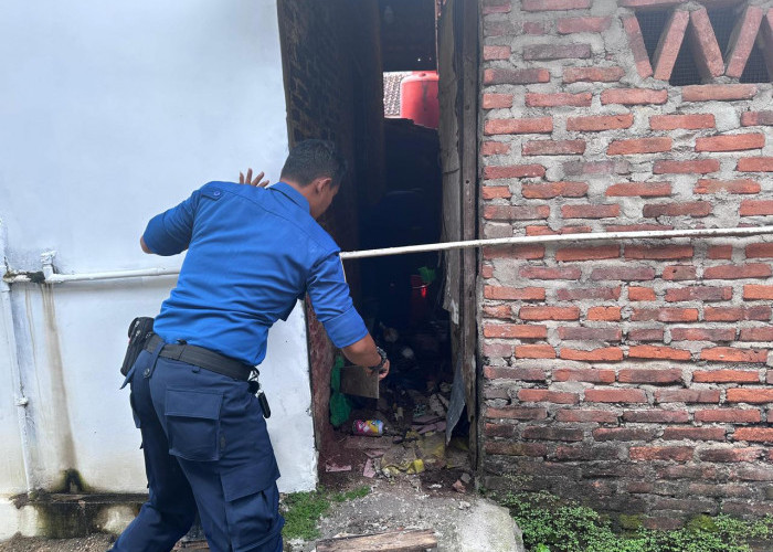 Damkar Pringsewu Evakuasi Ular Kobra di Permukiman Warga di Kelurahan Sidoharjo
