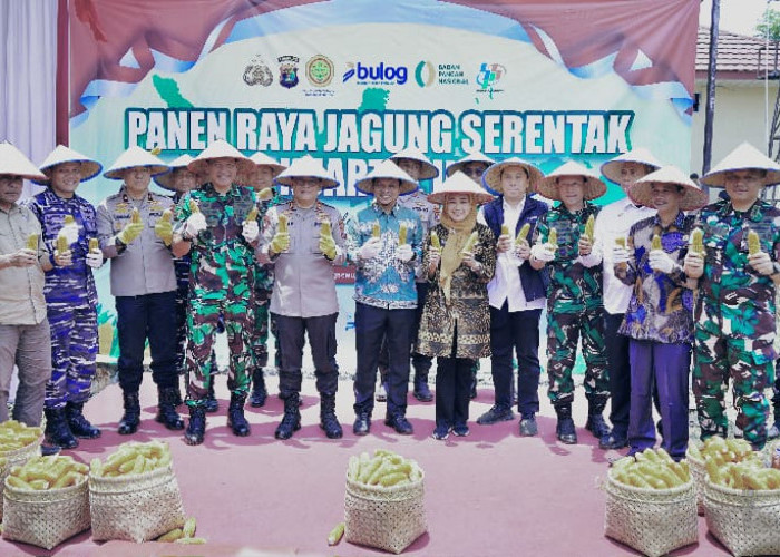 Bupati Pringsewu Hadiri Panen Raya Jagung Serentak di Mapolres Pringsewu 