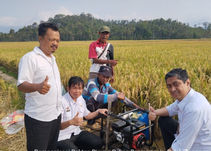 Atasi Kekeringan Lahan Pertanian Dinas KPTPH Siagakan 7 Pompa Air di Sejumlah Titik