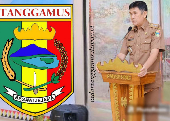 Awal September 2023, Ketua Forum Camat Tanggamus Lampung Pensiun Dari ASN 