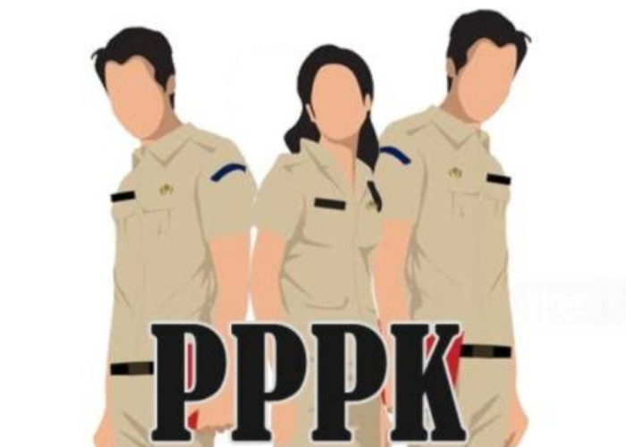 Pelamar PPPK di Kabupaten Tanggamus Sebanyak 2.548 Orang, Terbanyak di Formasi Ini