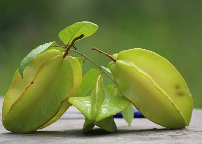 Belum Banyak yang Tahu, Ini 5 Manfaat Buah Belimbing untuk Kesehatan 