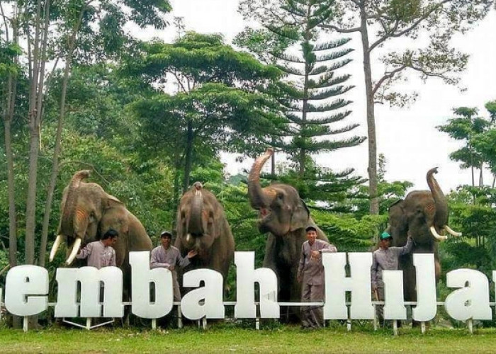 Wisata Lembah Hijau Lampung Ada Ratusan Spesies Dan Satwa. Apa Saja Cek Disini