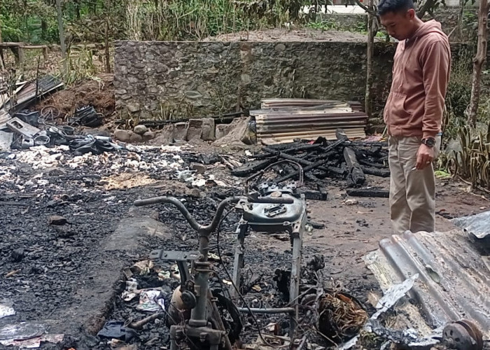 Satu Rumah di Pekon Benteng Jaya Ludes Dilalap Api