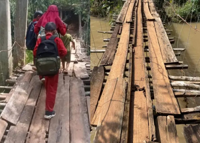 Jembatan Horor di Tanggamus Makan Korban, Siswa SD Nyaris Terjatuh ke Sungai Deras