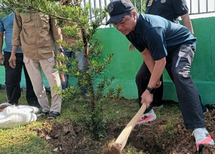 Bupati & Wabup Pringsewu Tanam Pohon Lohansung di Halaman Masjid Pemda